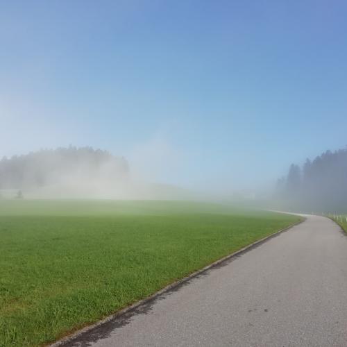 Schneiderbauernteich