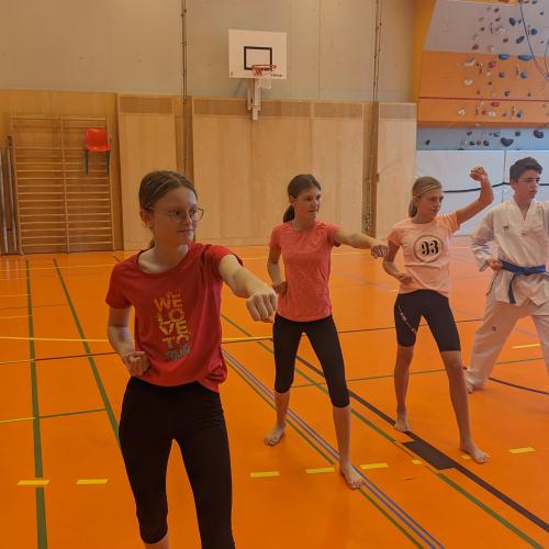 Karate