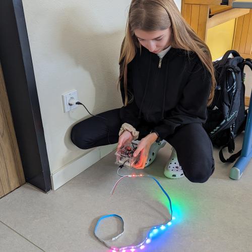 diyled