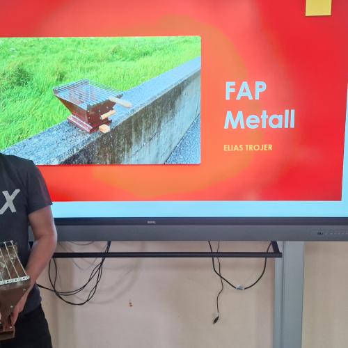 FAP28