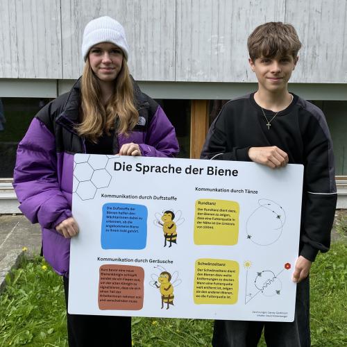 DAMIT ES WIEDER BRUMMT UND SUMMT