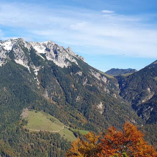 Nur genießen! 
