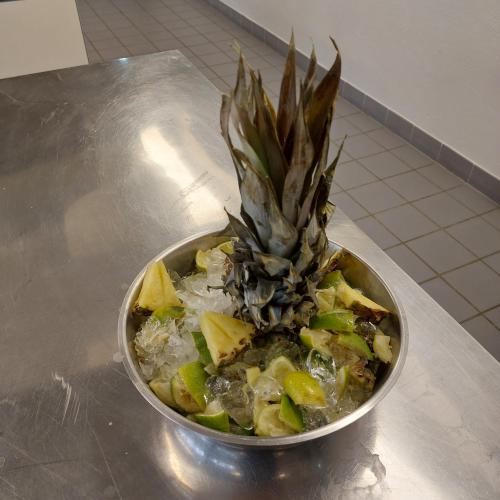 TagOffeneTür PTS 2025.jpg