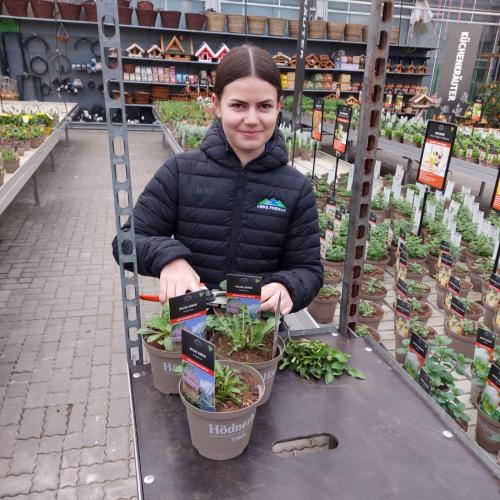 Poly 2. Schnupperwoche 