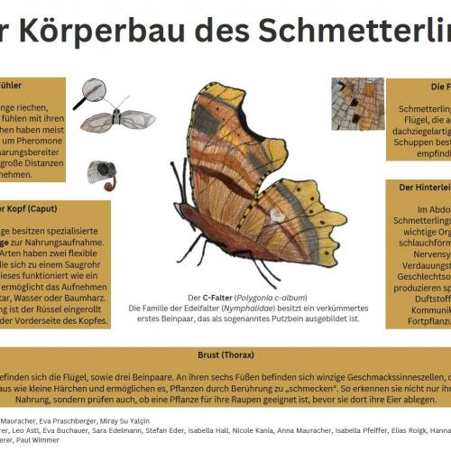 Damit es weiterhin summt und brummt