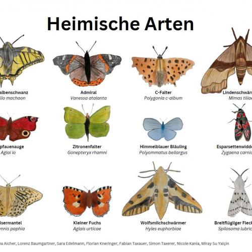 Damit es weiterhin summt und brummt