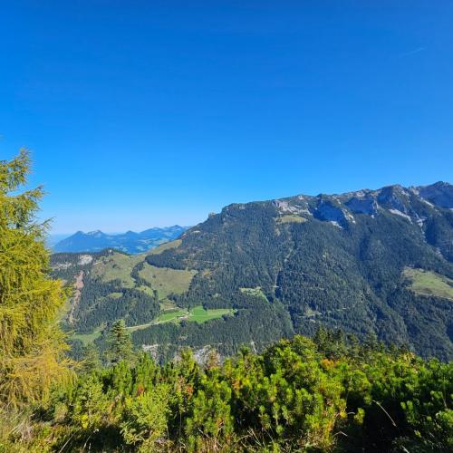 Wandertag 4a und 4b Gamskogel und Kaindlhütte