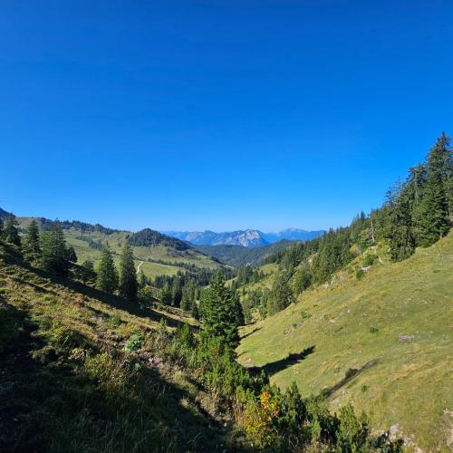 Wandertag 4a und 4b Gamskogel und Kaindlhütte