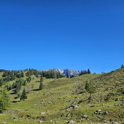 Wandertag 4a und 4b Gamskogel und Kaindlhütte