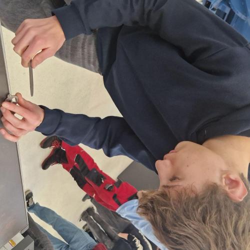 20260121 TFBS Metall