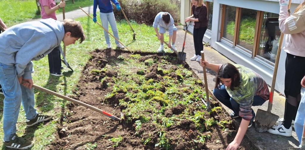 APF_ÖKOLOG APF_ÖKOLOG